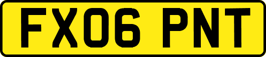 FX06PNT
