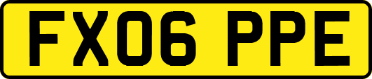 FX06PPE
