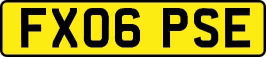 FX06PSE