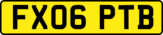 FX06PTB