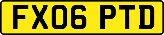 FX06PTD