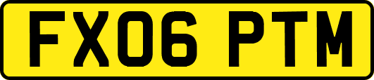 FX06PTM
