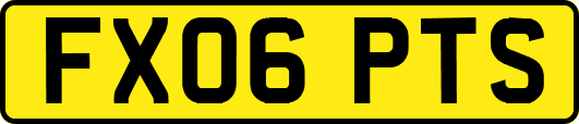 FX06PTS
