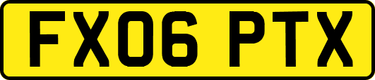 FX06PTX