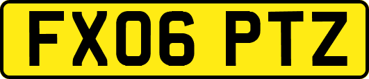 FX06PTZ