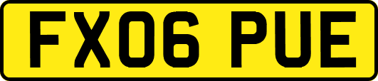 FX06PUE