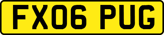 FX06PUG