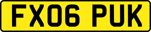 FX06PUK