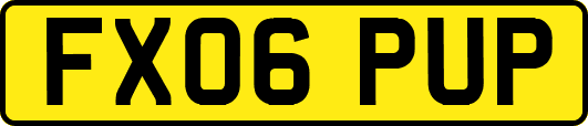 FX06PUP
