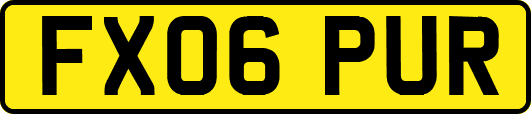 FX06PUR