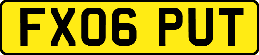 FX06PUT
