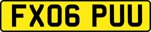 FX06PUU