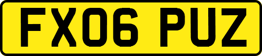 FX06PUZ