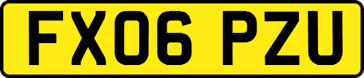 FX06PZU