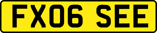 FX06SEE