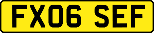 FX06SEF