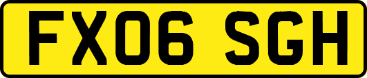 FX06SGH