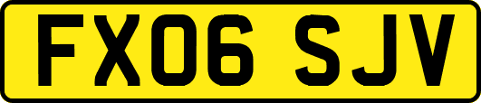 FX06SJV