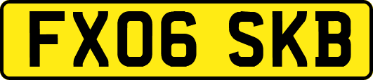 FX06SKB