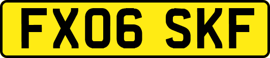FX06SKF