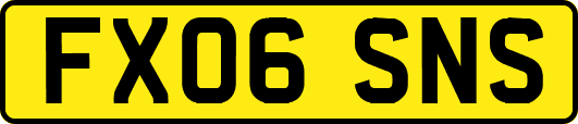 FX06SNS