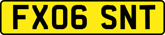 FX06SNT