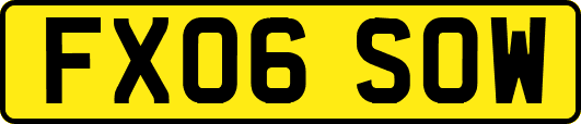 FX06SOW