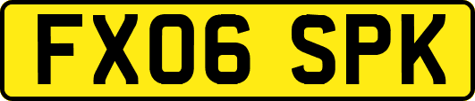 FX06SPK