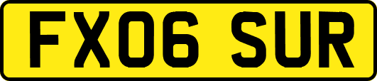 FX06SUR