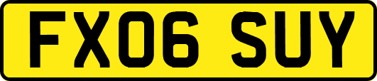 FX06SUY
