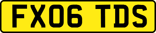 FX06TDS