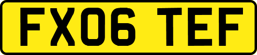 FX06TEF