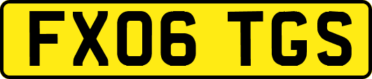 FX06TGS
