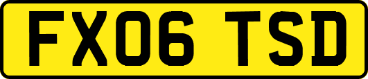 FX06TSD