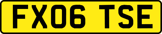 FX06TSE