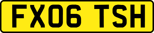 FX06TSH