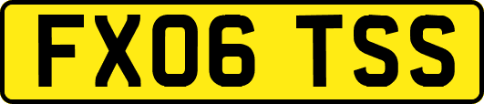 FX06TSS