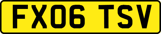 FX06TSV