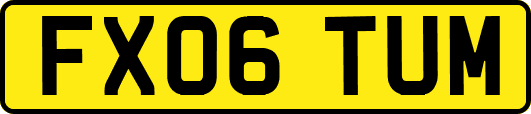 FX06TUM