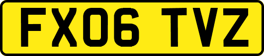 FX06TVZ