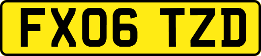 FX06TZD