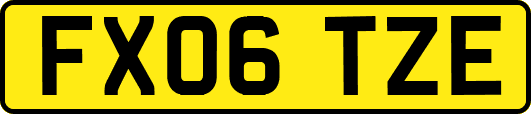 FX06TZE