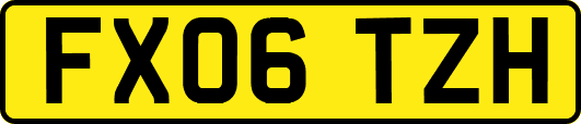 FX06TZH