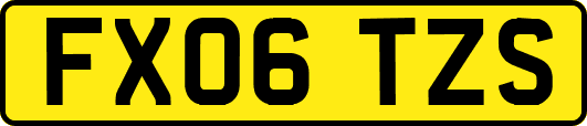 FX06TZS