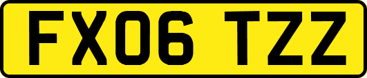 FX06TZZ