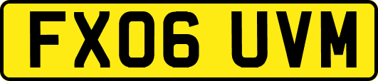 FX06UVM