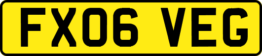 FX06VEG