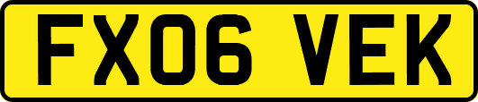 FX06VEK