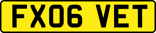 FX06VET