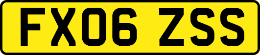 FX06ZSS